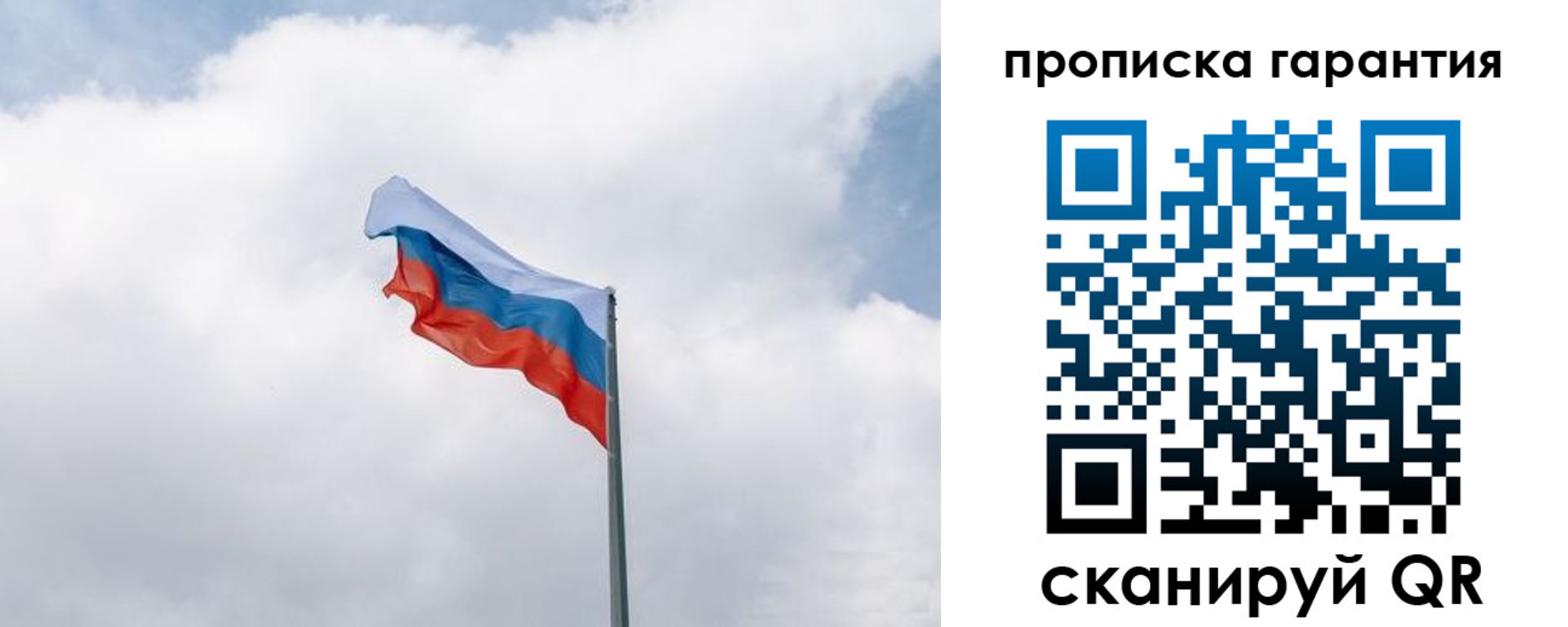 прописка штамп в Вязьме